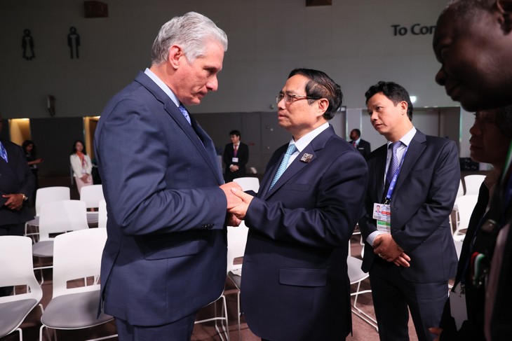 Le Premier ministre vietnamien rencontre le président cubain - ảnh 1