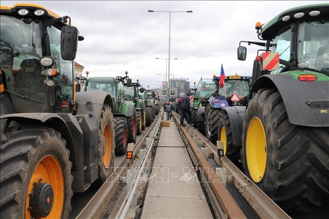 Manifestations des agriculteurs à la frontière Slovaque-Tchèque - ảnh 1