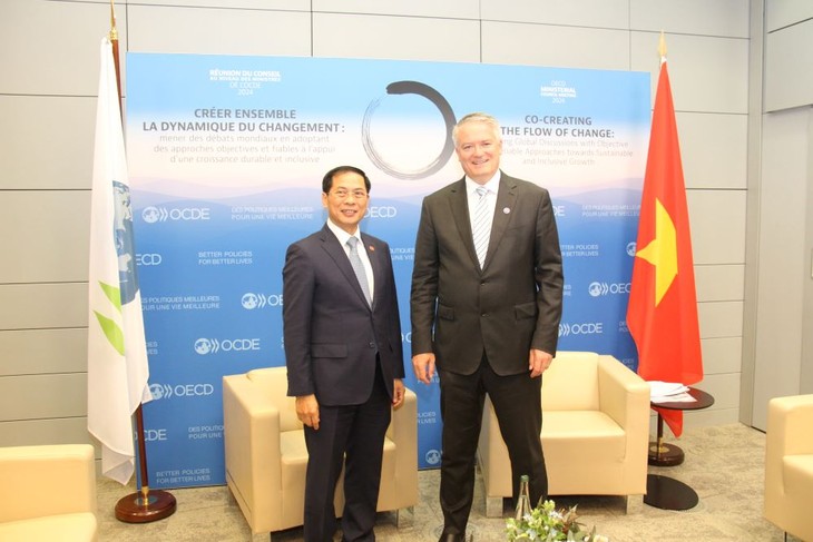 OCDE: le Vietnam renforce ses liens internationaux       - ảnh 1