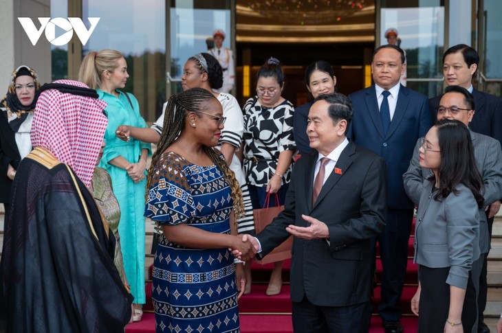 30e anniversaire de l’Audit d’État: Trân Thanh Mân souhaite la bienvenue aux auditeurs internationaux - ảnh 1