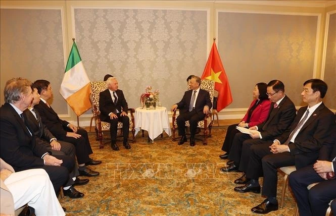 Tô Lâm rencontre la diaspora vietnamienne en Irlande - ảnh 1