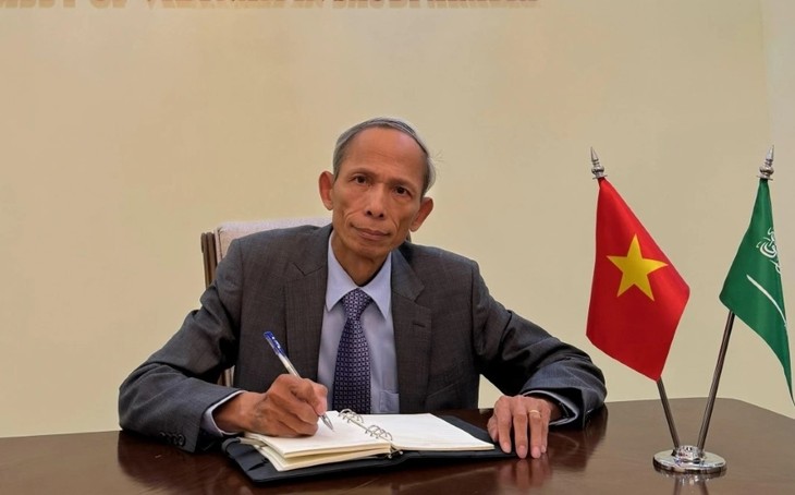 Le Vietnam consolide ses alliances au Moyen-Orient - ảnh 1