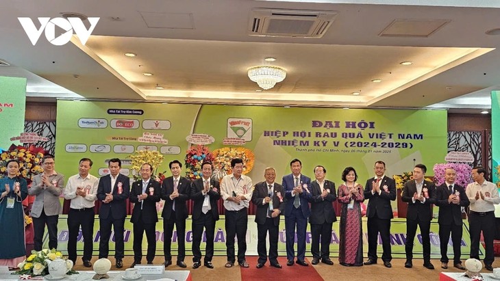 Le Vietnam vise 10 milliards de dollars d’exportations annuelles de fruits et légumes - ảnh 1