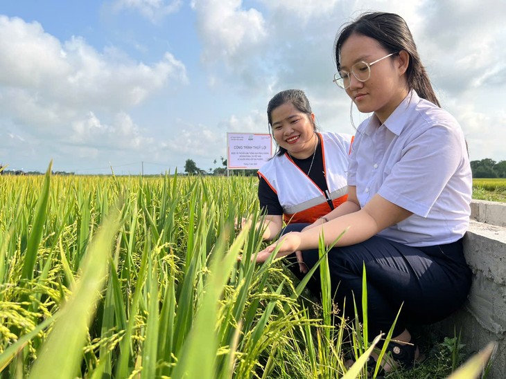 Sécuriser l’eau, améliorer la vie – une initiative au service des agriculteurs vietnamiens  - ảnh 4