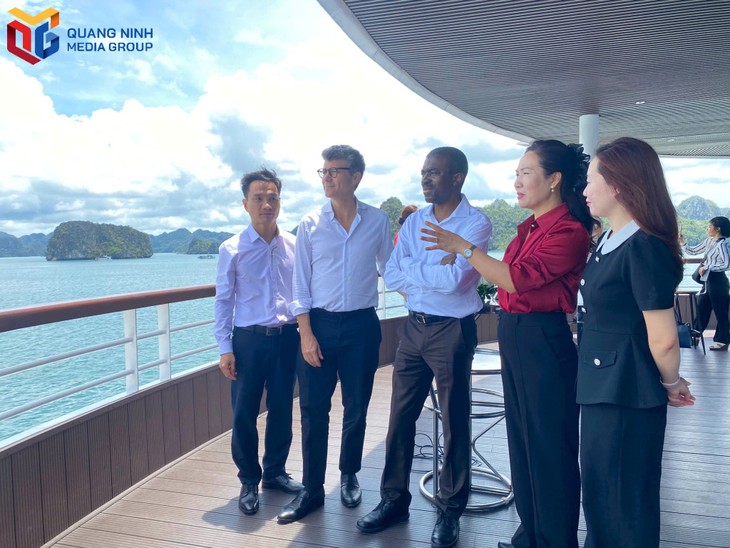 Visite du directeur du Centre du patrimoine mondial de l’UNESCO à la baie d’Ha Long - ảnh 1