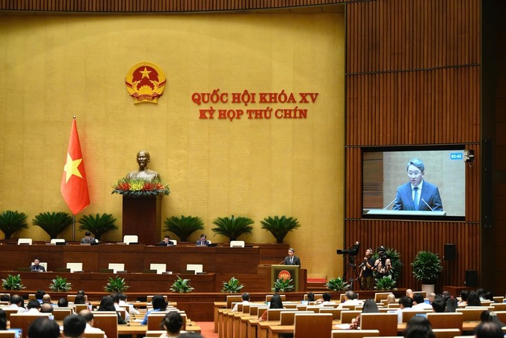 Le Vietnam veut lever rapidement les obstacles juridiques pour accélérer le développement - ảnh 1