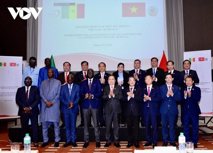 Le Vietnam propose son expertise technologique au Sénégal - ảnh 1