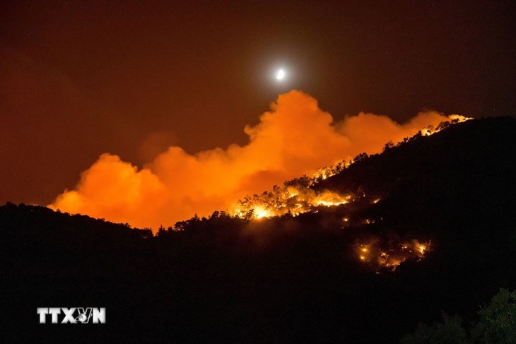 Incendies de forêt: l’Espagne et le Portugal mobilisent leurs forces d’urgence - ảnh 1