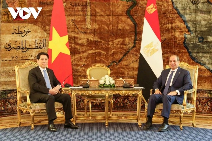 Vietnam-Égypte: vers 1 milliard de dollars d’échanges bilatéraux - ảnh 1
