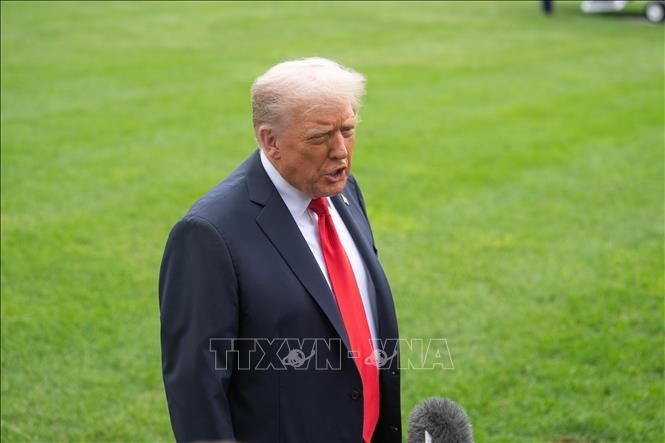 Donald Trump au Royaume-Uni: façonner les relations futures - ảnh 1