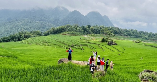 Journée mondiale du tourisme: cap sur la durabilité - ảnh 1