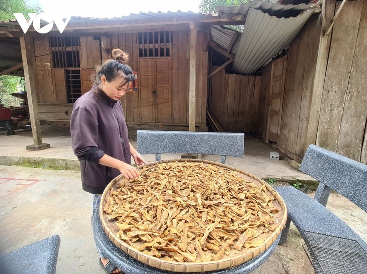 Le commerce bidirectionnel, nouvel outil de développement dans les montagnes de Quang Tri - ảnh 4