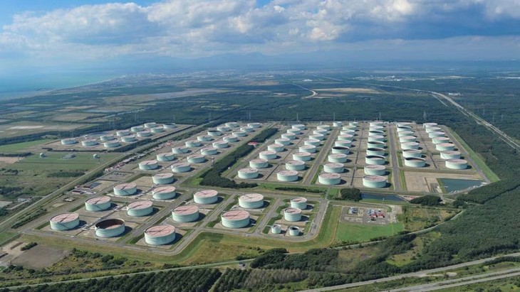 Le Japon plaide pour une coopération asiatique renforcée afin de sécuriser l’approvisionnement en pétrole - ảnh 1