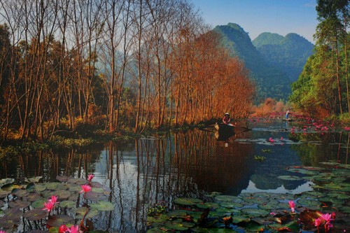 วินาทีที่น่าประทับใจเกี่ยวกับธรรมชาติและคนเวียดนาม - ảnh 13