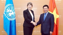 ผลักดันการปฏิรูปเศรษฐกิจเพื่อการขยายตัวอย่างยั่งยืน - ảnh 1