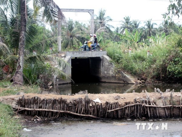 ลงทุนกว่า 210 ล้านเหรียญหสรัฐเพื่อพัฒนาระบบชลประทานในเขตที่ราบลุ่มแม่น้ำโขง - ảnh 1