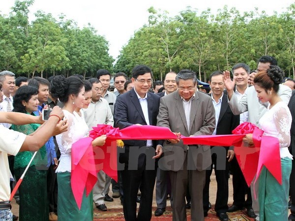 สถานประกอบการยางพาราเวียดนามประกอบธุรกิจอย่างมีประสิทธิภาพในประเทศกัมพูชา - ảnh 1