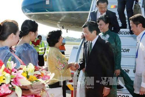 เวียดนามยกระดับงานด้านการต่างประเทศพหุภาคีผ่านการเข้าร่วมการประชุมเอเปก 23 - ảnh 1