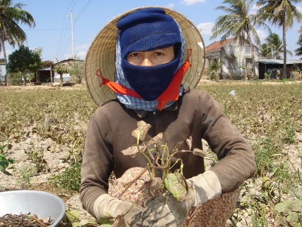 จังหวัดนิงถวดผลักดันการช่วยเหลือจากต่างประเทศเพื่อรับมือกับการเปลี่ยนแปลงของสภาพภูมิอากาศ - ảnh 2