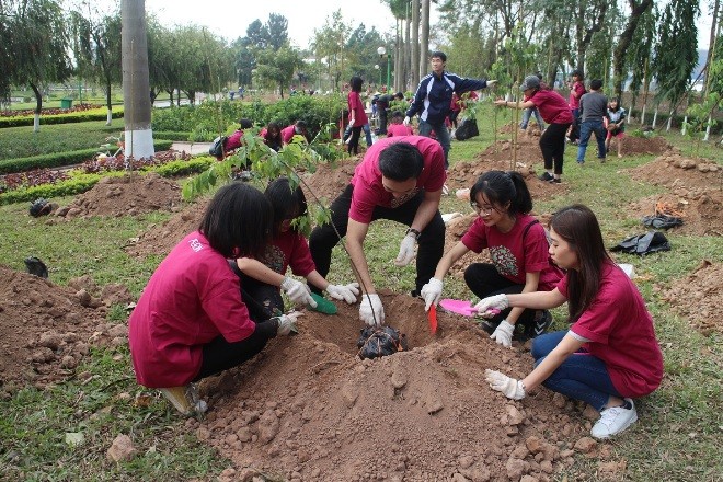 มีการปลูกต้นซากุระ 500 ต้นในสวนสาธารณะสันติภาพ ณ กรุงฮานอย - ảnh 1