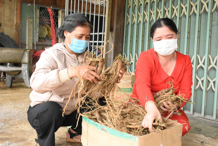 สตรีในจังหวัดกอนตุมกับกระบวนการสตาร์ทอัพ - ảnh 2