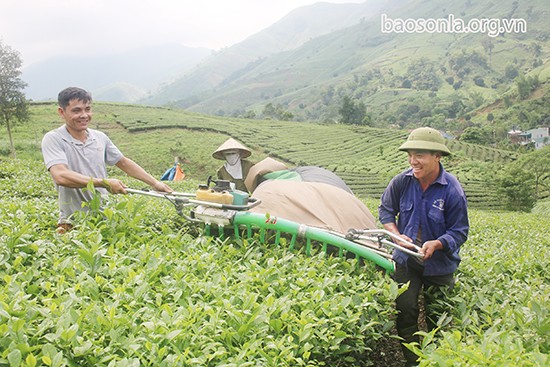 จังหวัดเซินลาพัฒนาชนบทที่ทันสมัยและการเกษตรที่มีอารยธรรม - ảnh 1