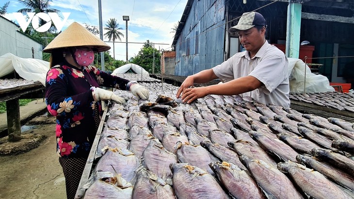 โครงการ OCOP ช่วยยกระดับแบรนด์ “ปลาสลิดตากแห้งอูมิงห์” ของจังหวัดก่าเมา - ảnh 1