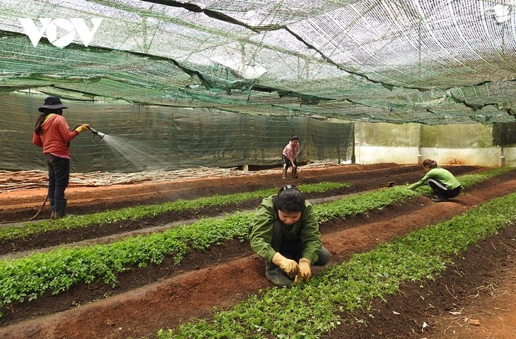 การเผยแพร่วิทยาศาสตร์เทคโนโลยีในหมู่บ้านต่างๆ ที่จังหวัดกอนตุม - ảnh 2