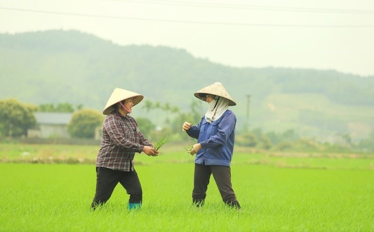 เกษตรกรที่มีความสุขในตำบลเขตเขาบิ่งเค จังหวัดกว๋างนิงห์ - ảnh 1