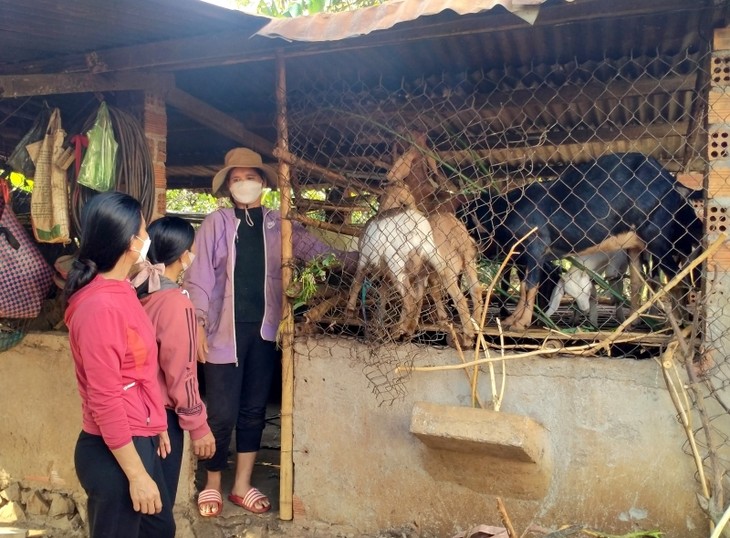 ปรับปรุงการดำรงชีวิตให้แก่สตรีชนกลุ่มน้อยในบวนโห่ จังหวัดดั๊กลั๊ก - ảnh 1