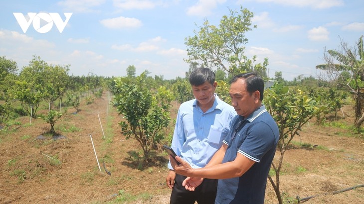 ผลักดันการปรับเปลี่ยนสู่ยุคดิจิทัลในด้านการเกษตรที่จังหวัดซ๊อกจัง - ảnh 1