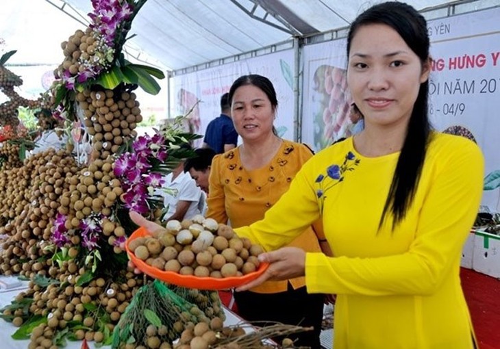 จังหวัดฮึงเอียนสร้างสรรค์เครื่องหมายการค้าให้แก่ผลิตภัณฑ์ OCOP - ảnh 1