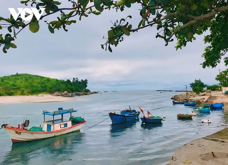 ซาหวิ่ง – ชายหาดที่สวยงามที่สุดในจังหวัดกว๋างหงาย - ảnh 13