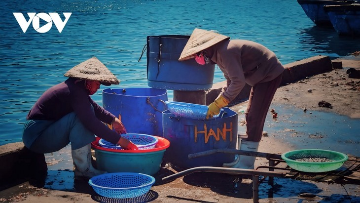 ซาหวิ่ง – ชายหาดที่สวยงามที่สุดในจังหวัดกว๋างหงาย - ảnh 6