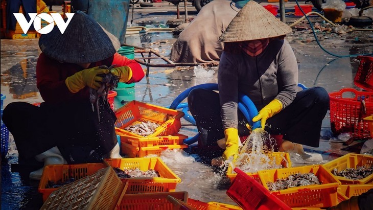 ซาหวิ่ง – ชายหาดที่สวยงามที่สุดในจังหวัดกว๋างหงาย - ảnh 7