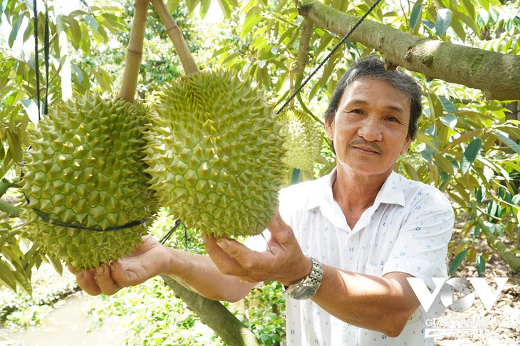 ผลักดันการเชื่อมโยงเพื่อพัฒนาแหล่งวัตถุดิบสำหรับการส่งออกสินค้าการเกษตรแบบยั่งยืน - ảnh 1