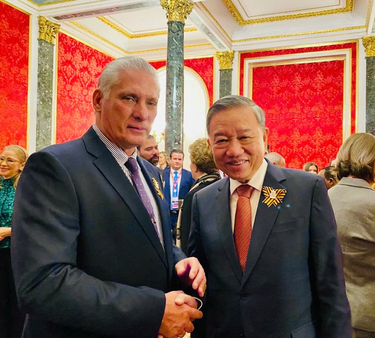 เลขาธิการใหญ่พรรค โตเลิม พบปะกับผู้นำประเทศต่างๆ ณ รัสเซีย - ảnh 2