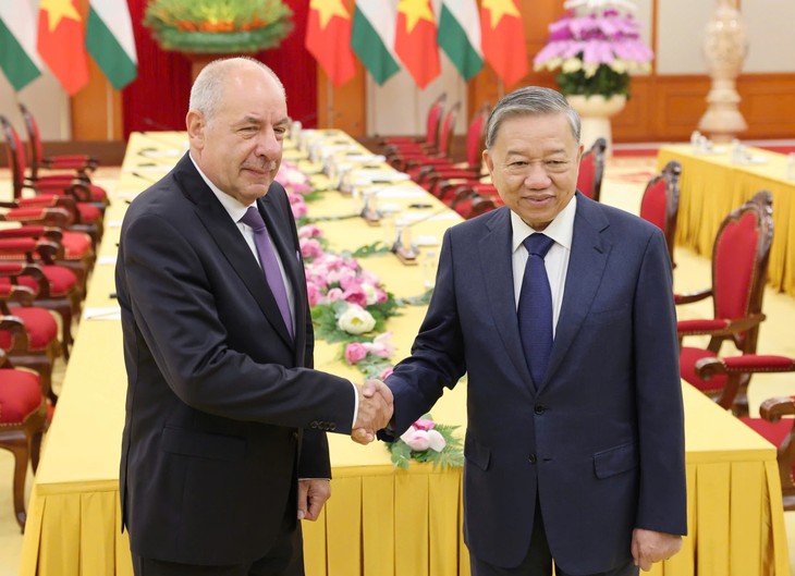 เลขาธิการใหญ่พรรค โตเลิม พบปะกับประธานาธิบดีฮังการี Sulyok Tamás - ảnh 1