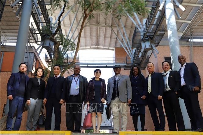 Vietnam, South Africa discuss free trade agreement - ảnh 1