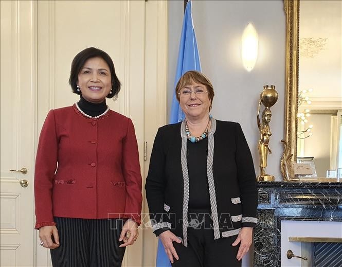 UN High Commissioner lauds Vietnam’s human rights achievements - ảnh 1