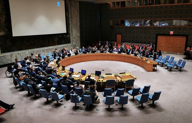 UN Security Council adopts Vietnamese resolution - ảnh 1