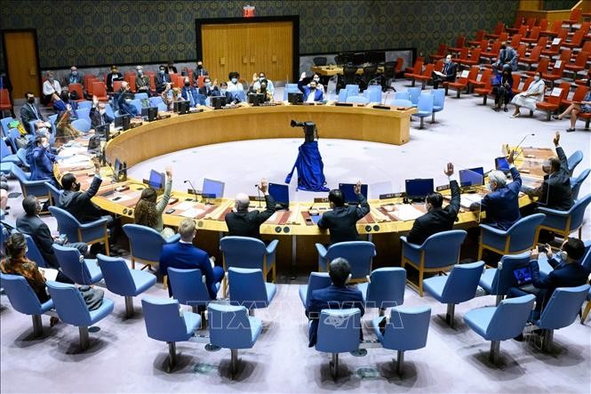 Vietnam calls on parties in Somalia to put national interest first - ảnh 1