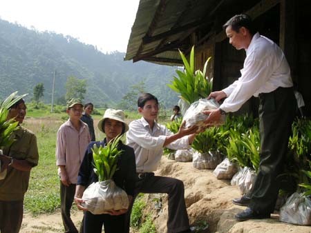 Hội thảo Đánh giá hiệu quả của chương trình hỗ trợ giảm nghèo nhanh  - ảnh 1