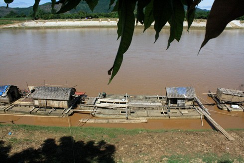 Săn cá bạc triệu trên sông - ảnh 1