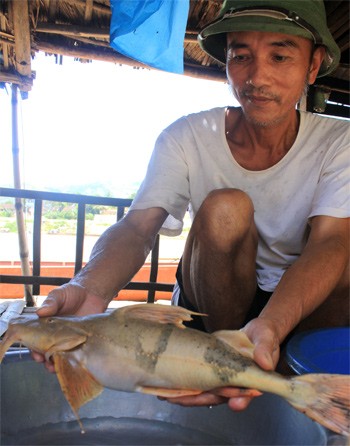 Săn cá bạc triệu trên sông - ảnh 4