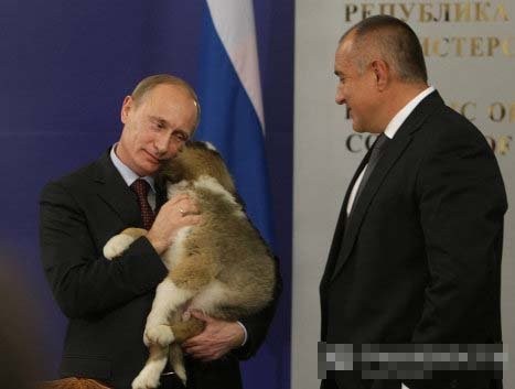 Những món quà bốn chân đặc biệt của Tổng thống Nga Vladimir Putin - ảnh 3