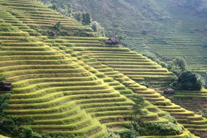 Công nhận di tích quốc gia với ruộng bậc thang Hoàng Su Phì - ảnh 3