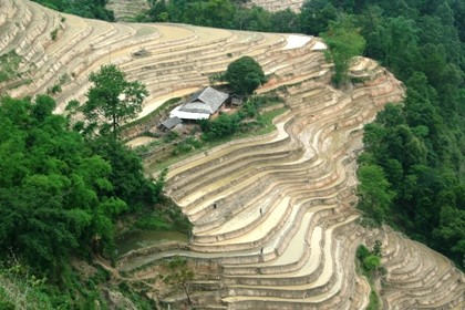 Công nhận di tích quốc gia với ruộng bậc thang Hoàng Su Phì - ảnh 7