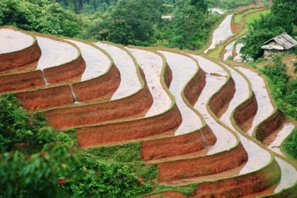 Công nhận di tích quốc gia với ruộng bậc thang Hoàng Su Phì - ảnh 5