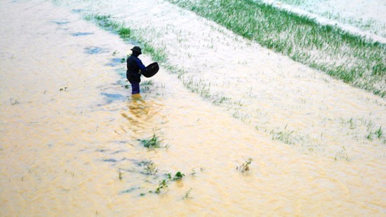 Hình ảnh tan hoang sau lũ tại Thanh Hoá  - ảnh 9